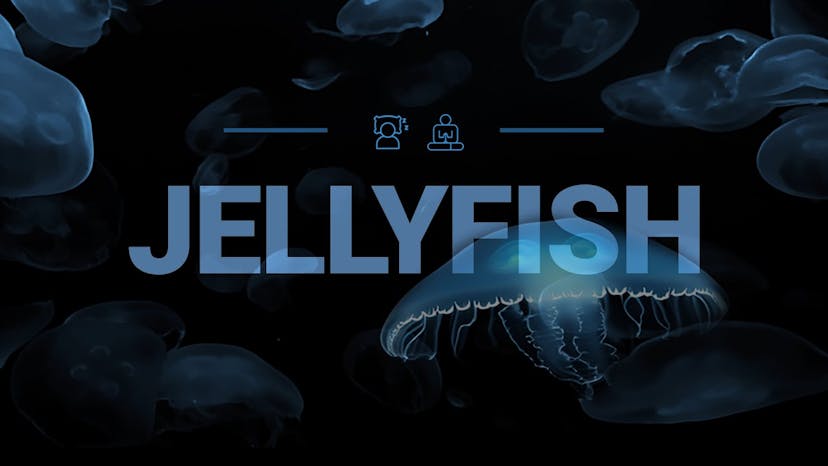 Dance of the Jellyfish | Mesmerizing | Ad-free for sleep