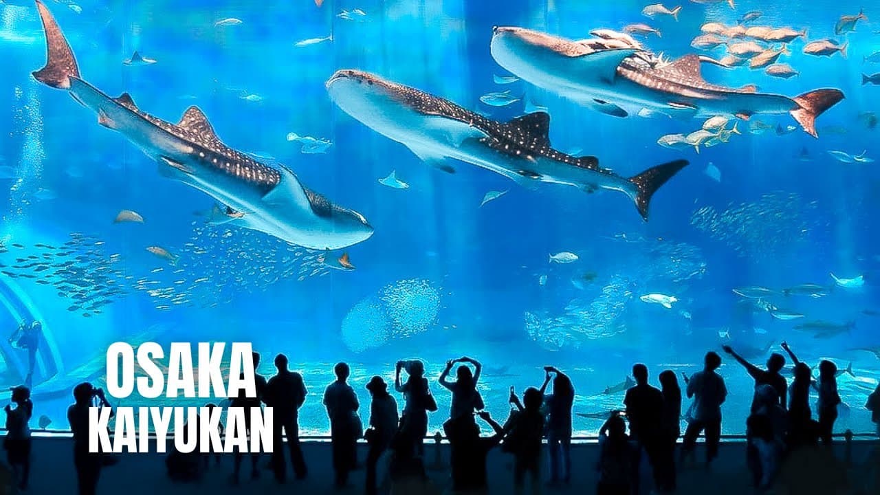Osaka Aquarium Kaiyukan Walking Tour (2023) (4K HDR)