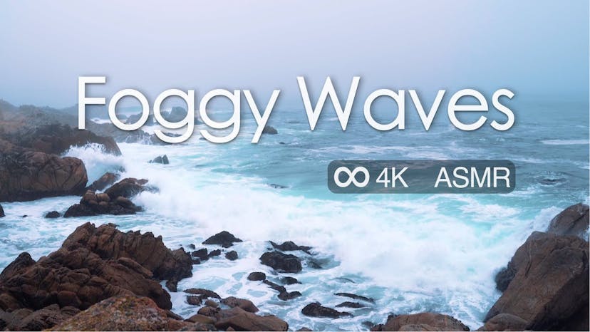 Foggy coastal waves 🌊 | ocean waves background for sleep and relaxation | 4K 8hr | Monterey Bay